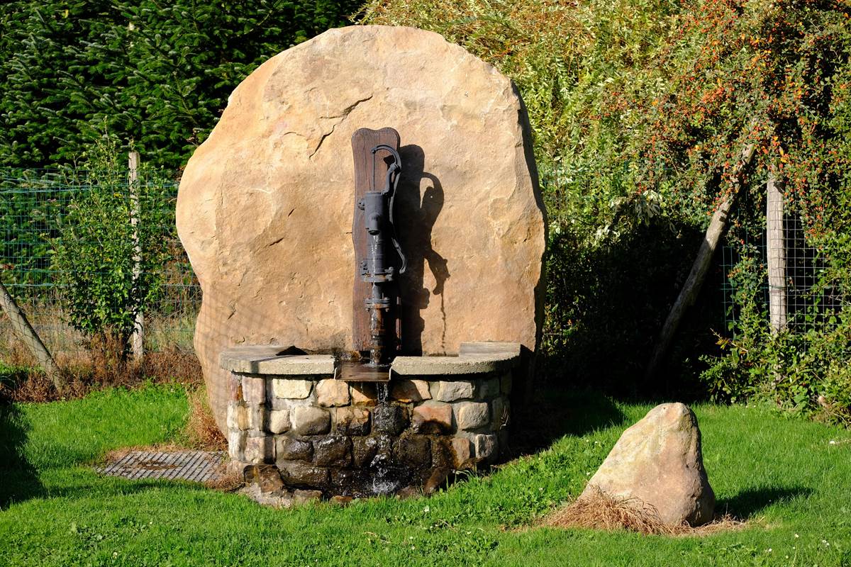 FontaineBoisdesDames (Copy)