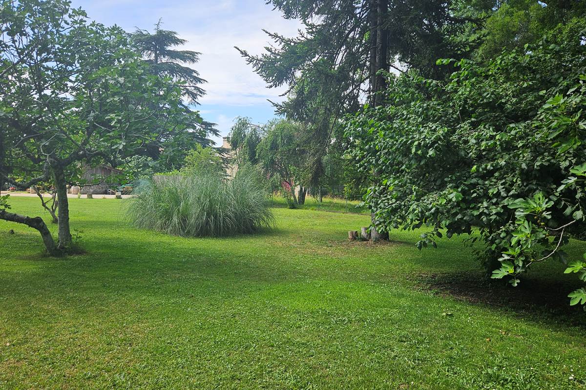 Jardin-clos-arboré-repos-détente-calme