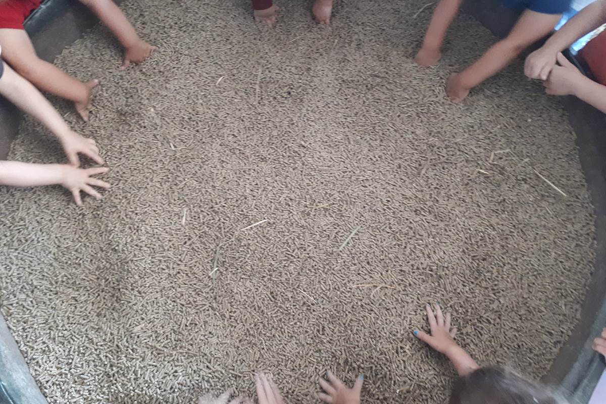 mains enfants dans le granules