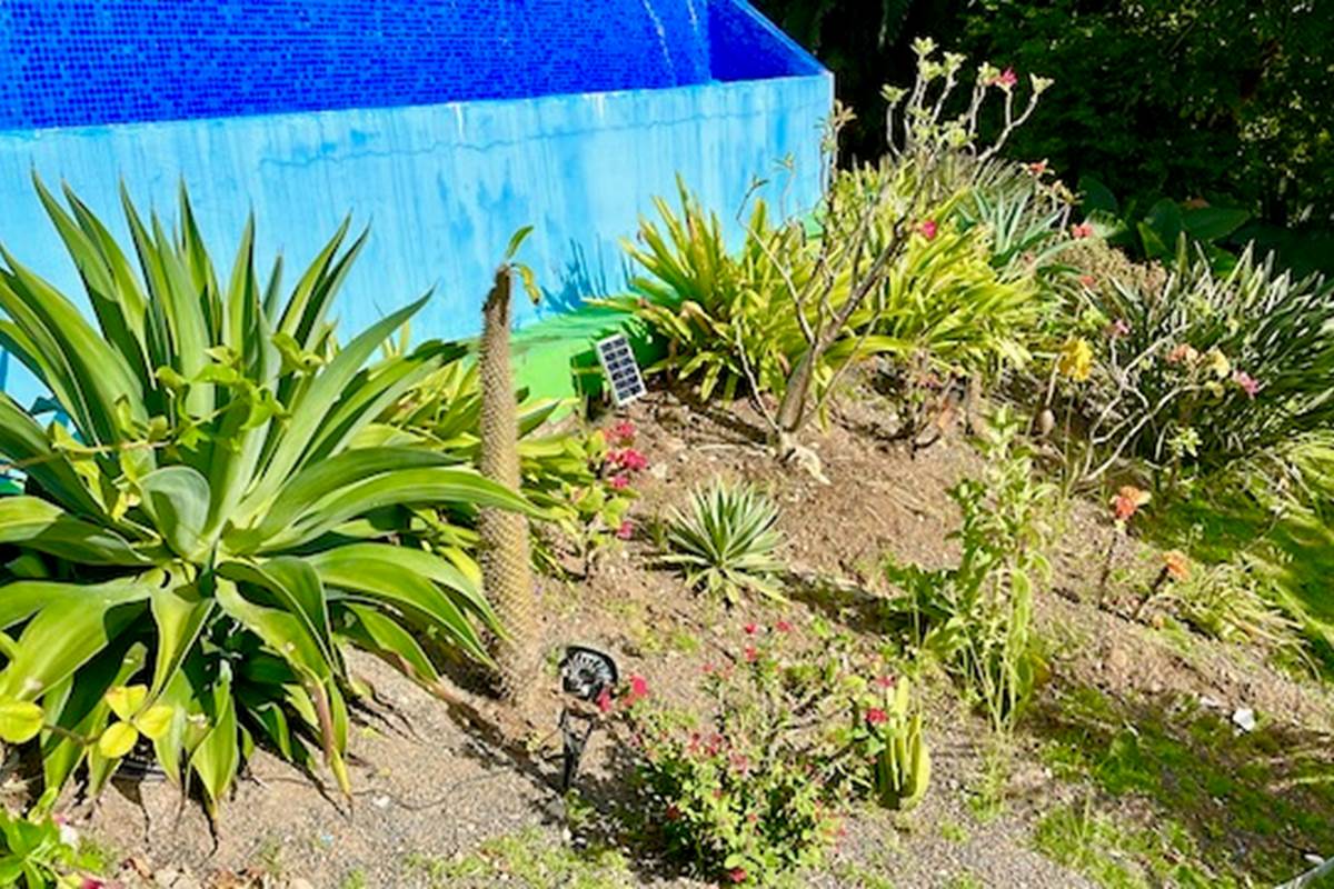 jardin2