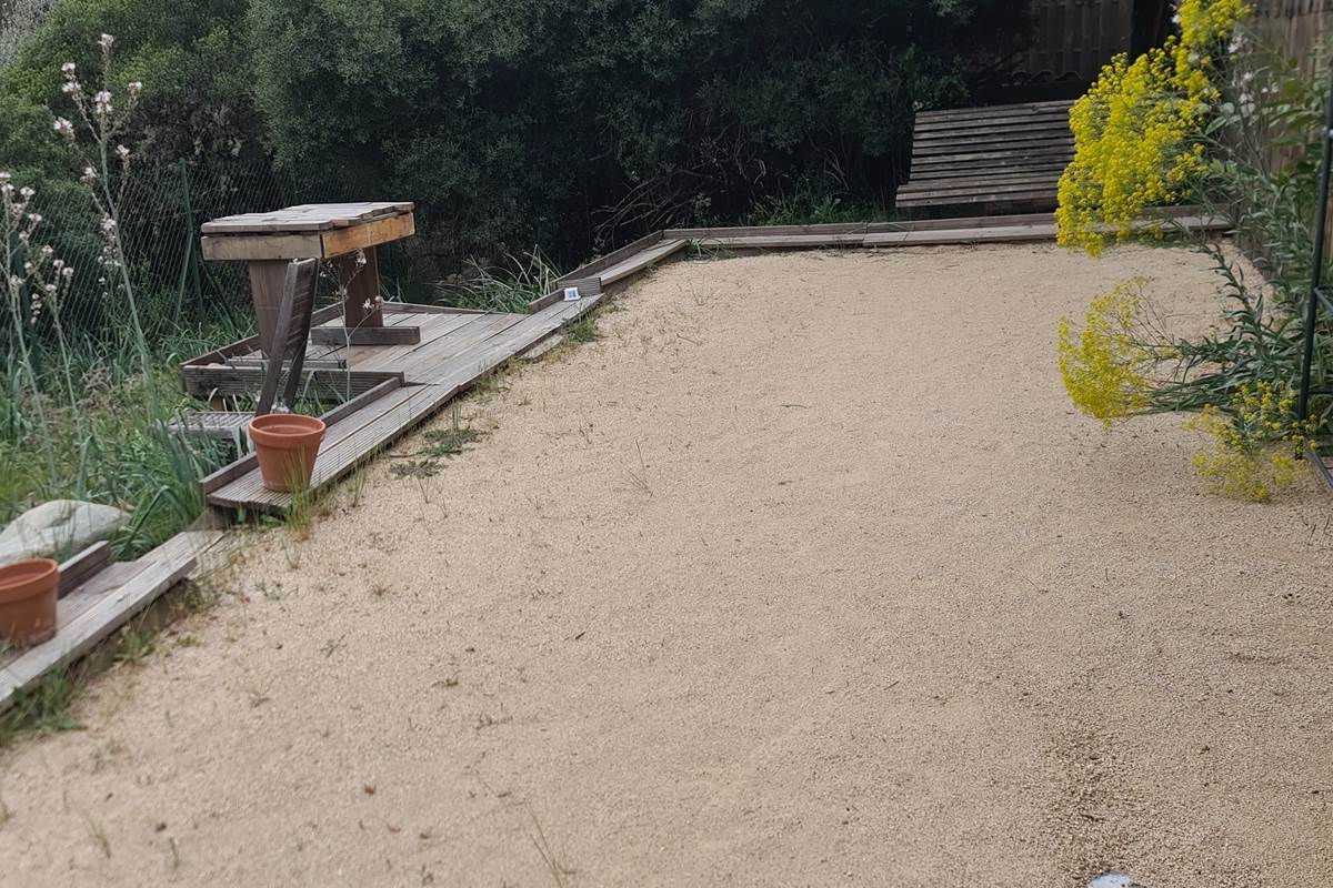 le terrain de pétanque