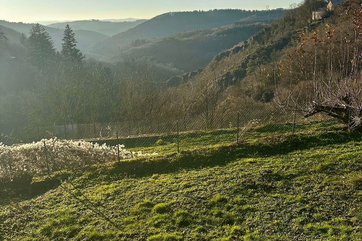 Juste attenant, le "Jardin de la Cure", sa Fontaine/Source d'Eau potable, ses Tables de Pique-nique ombragées. Siestes sous les Pommiers, bercés par le Chant des Cascades.