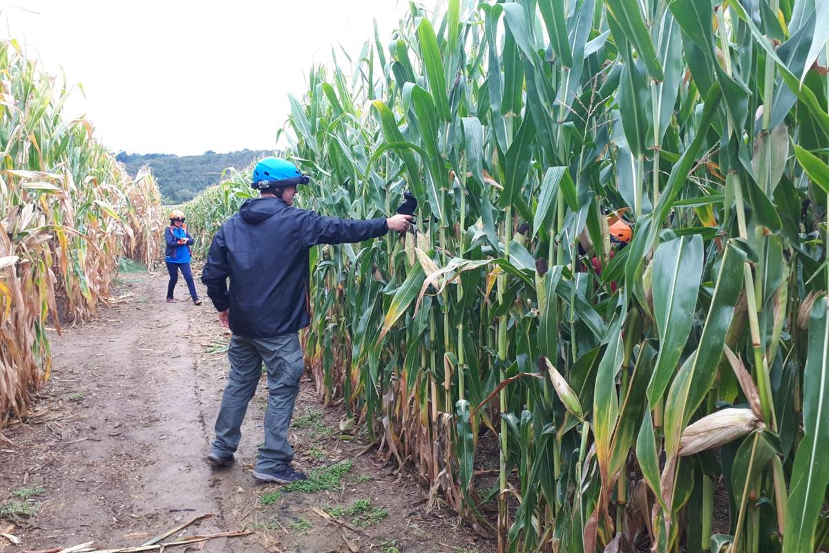 Ferme des delices foreziens,lasergame,labyrinthe,maïs,famille,amis,jeux,equipes,teambuilding,anniversaire,EJF-EVG,st cyr les vignes,Loire,Forez 42