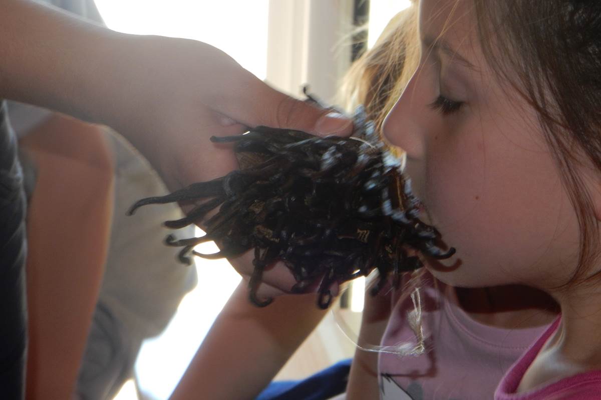 Visite Glaces et Saveurs et Petit Marché du Glacier