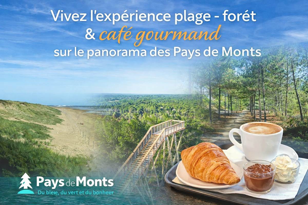 expe´rience_fatbike_plage fore^t_cafe´ gourmand