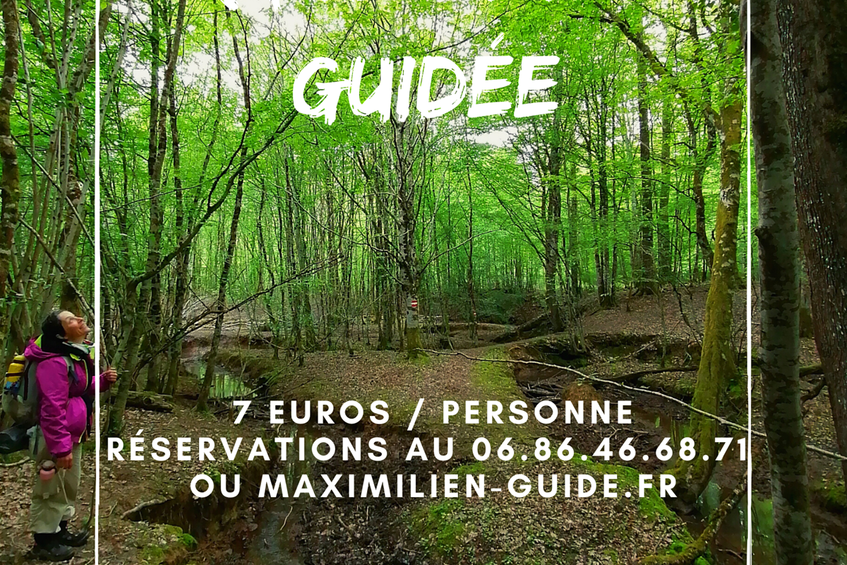 randonnée guidée (2)
