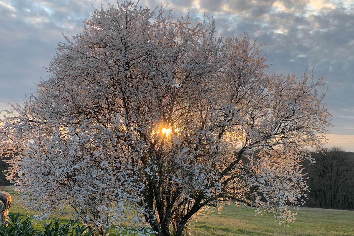 Coucher de soleil