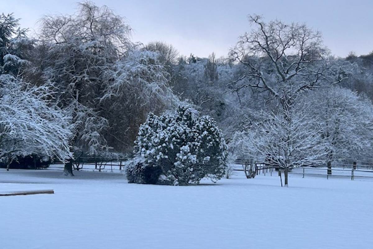 Episode neigeux en janvier 2026