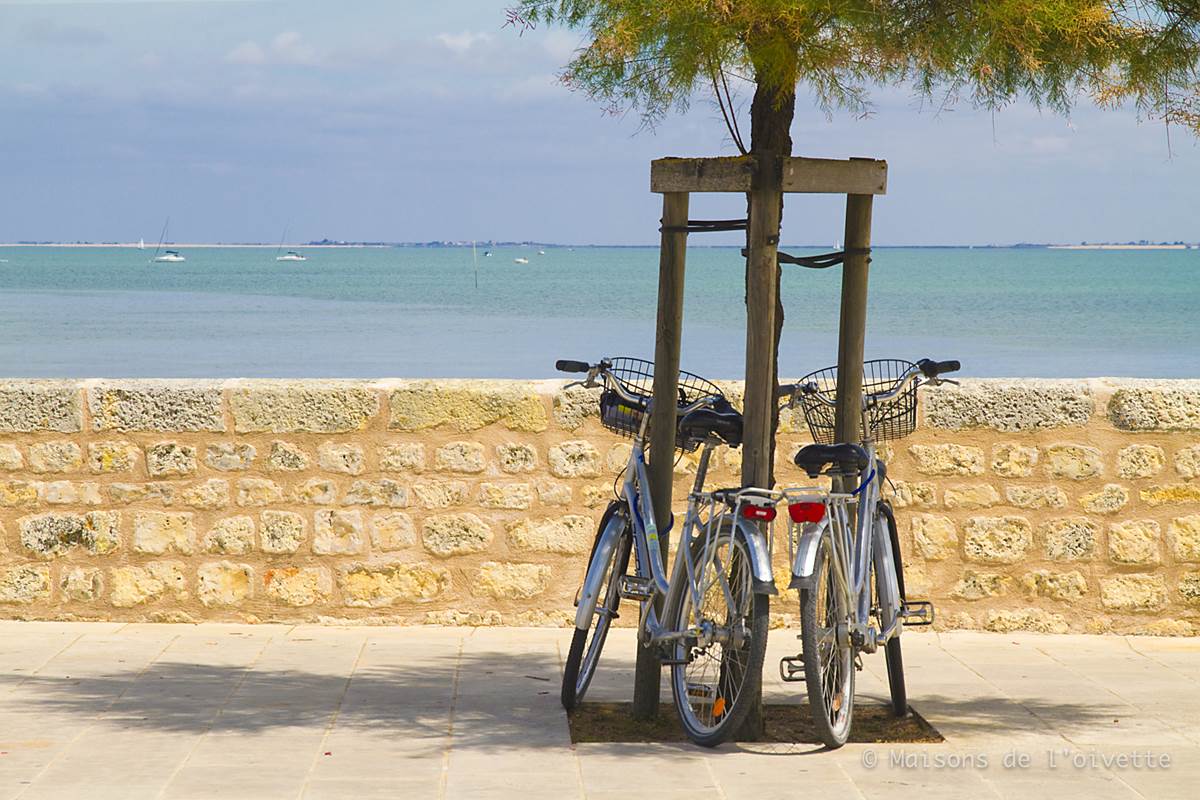 Promenade_ve´lo_la_flotte_enRe´