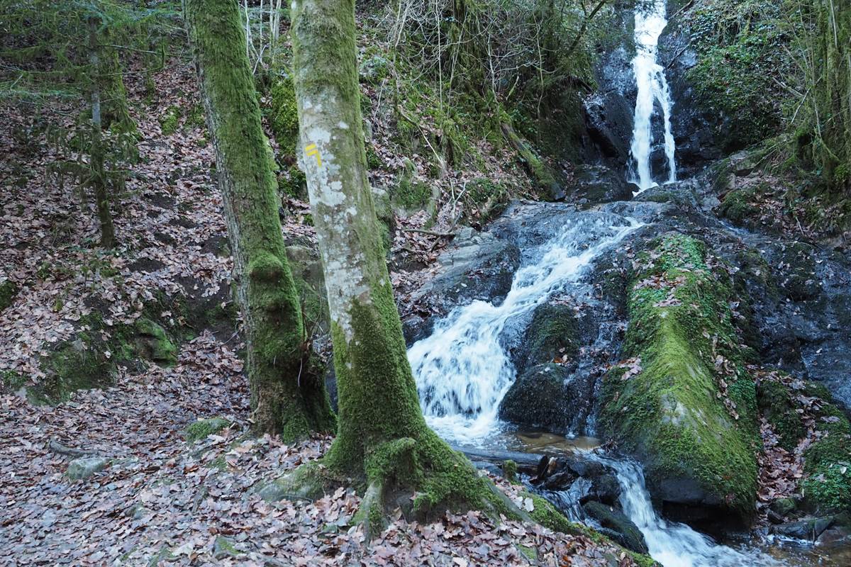 La Ballade des Cascadelles, en contre-bas du village de Gimel-les-Cascades, à 5 minutes de votre gîte.