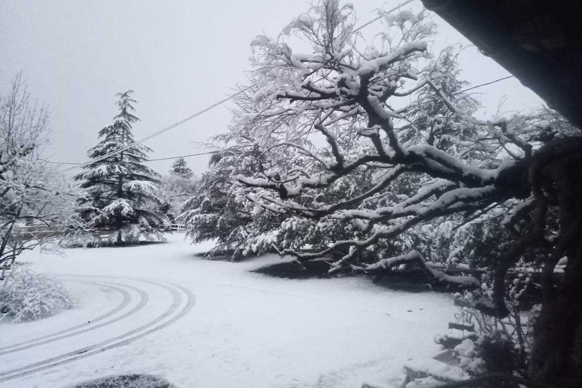 le parc sous la neige