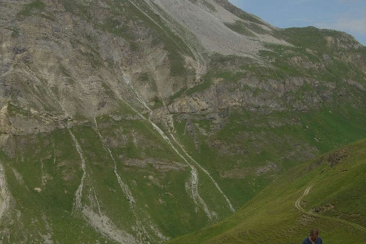 charvet