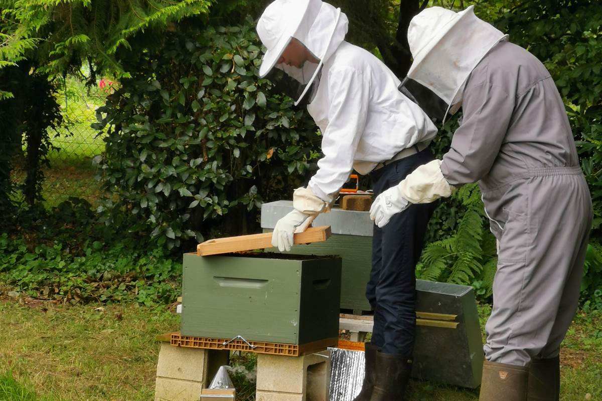 La  ruche Moulin de La Retardière