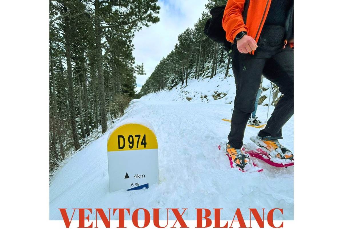 Le Mont Ventoux enneigé