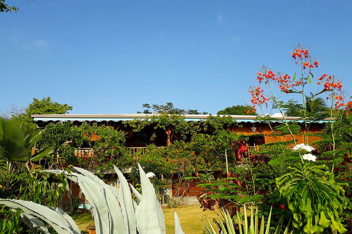 Vue depuis le jardin