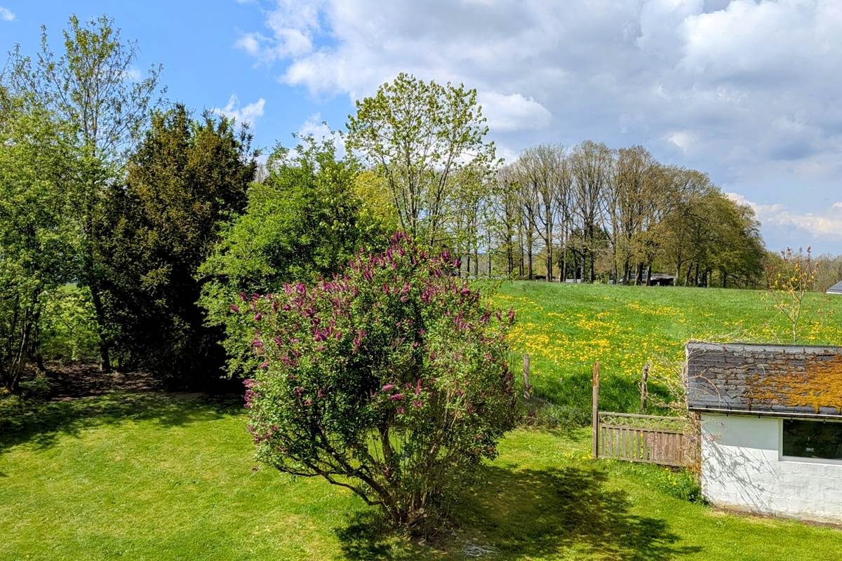 Vue dégagée sur la nature et le jardin