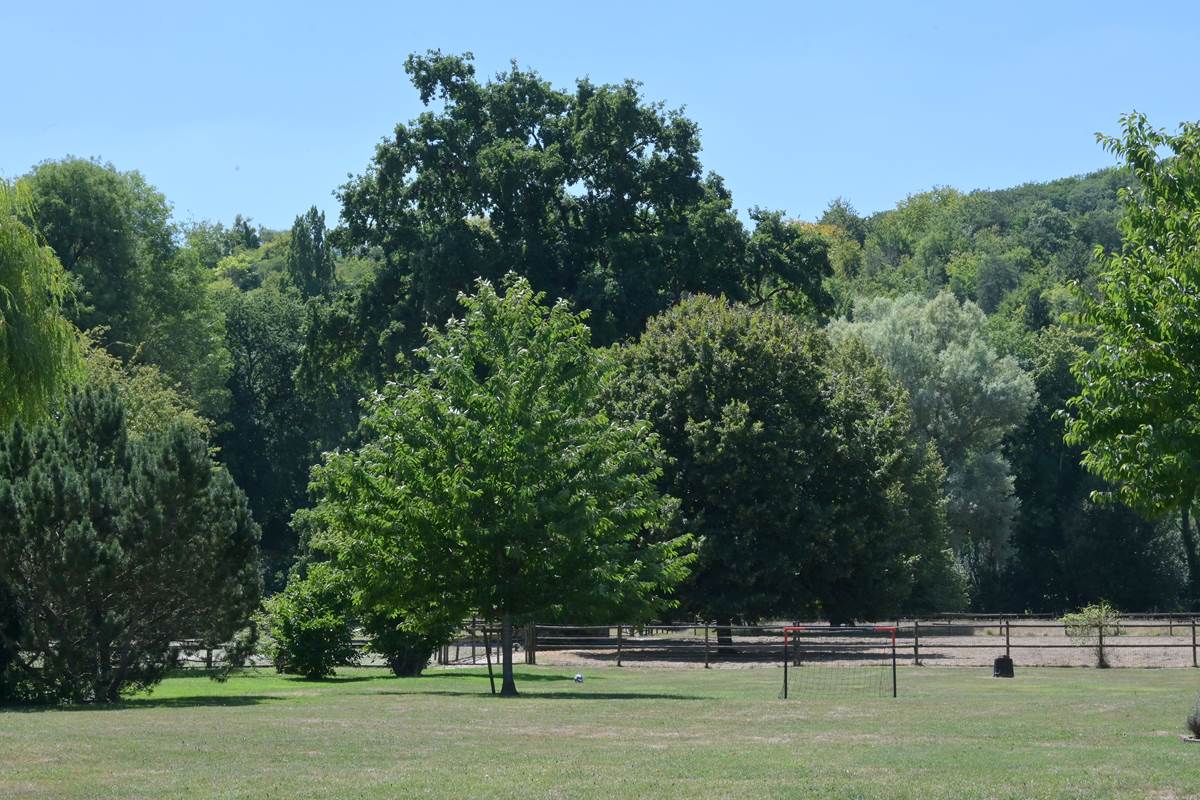 Vue sur le parc arboré