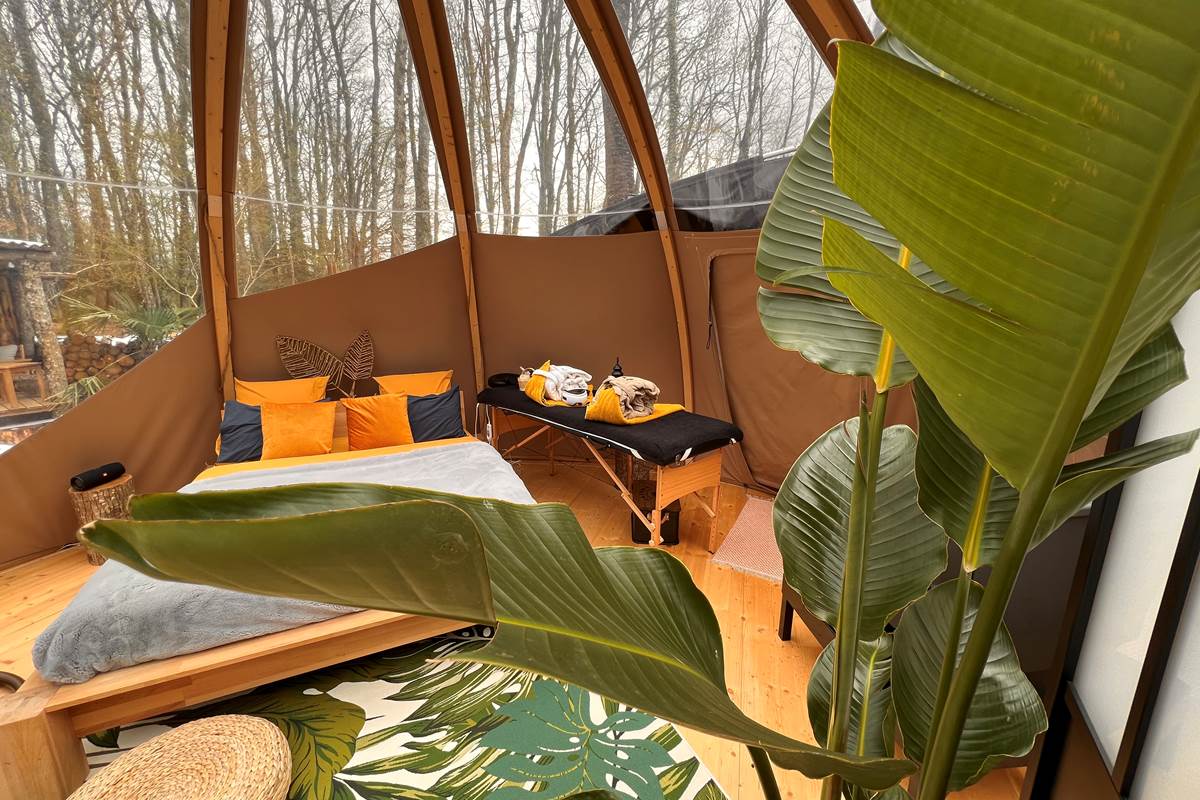 Ambiance Tropicale dans la bulle