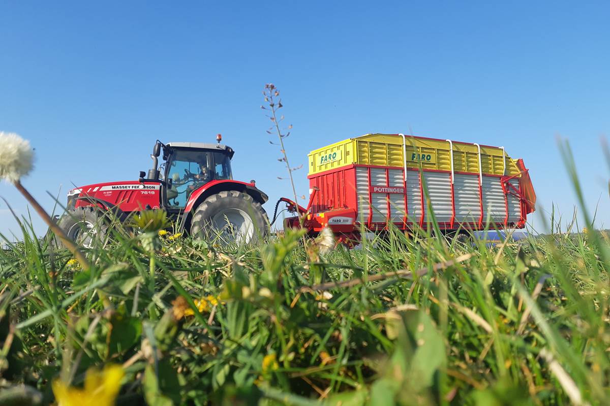 recolte du foin - Ferme des Délices