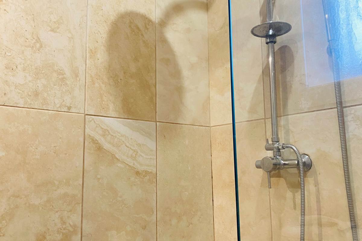 Massane S2D suite parentale n°1 (D)
