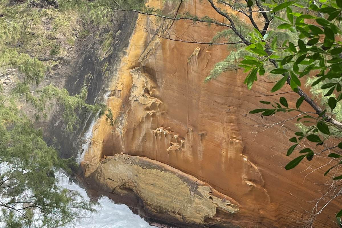 chambre-proche-sentier-cap-jaune