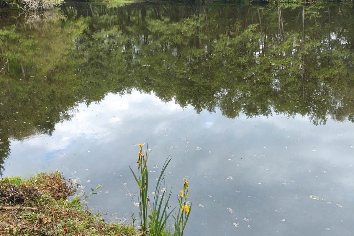 Etant privè à 7km du Moulin de Lavaugarde