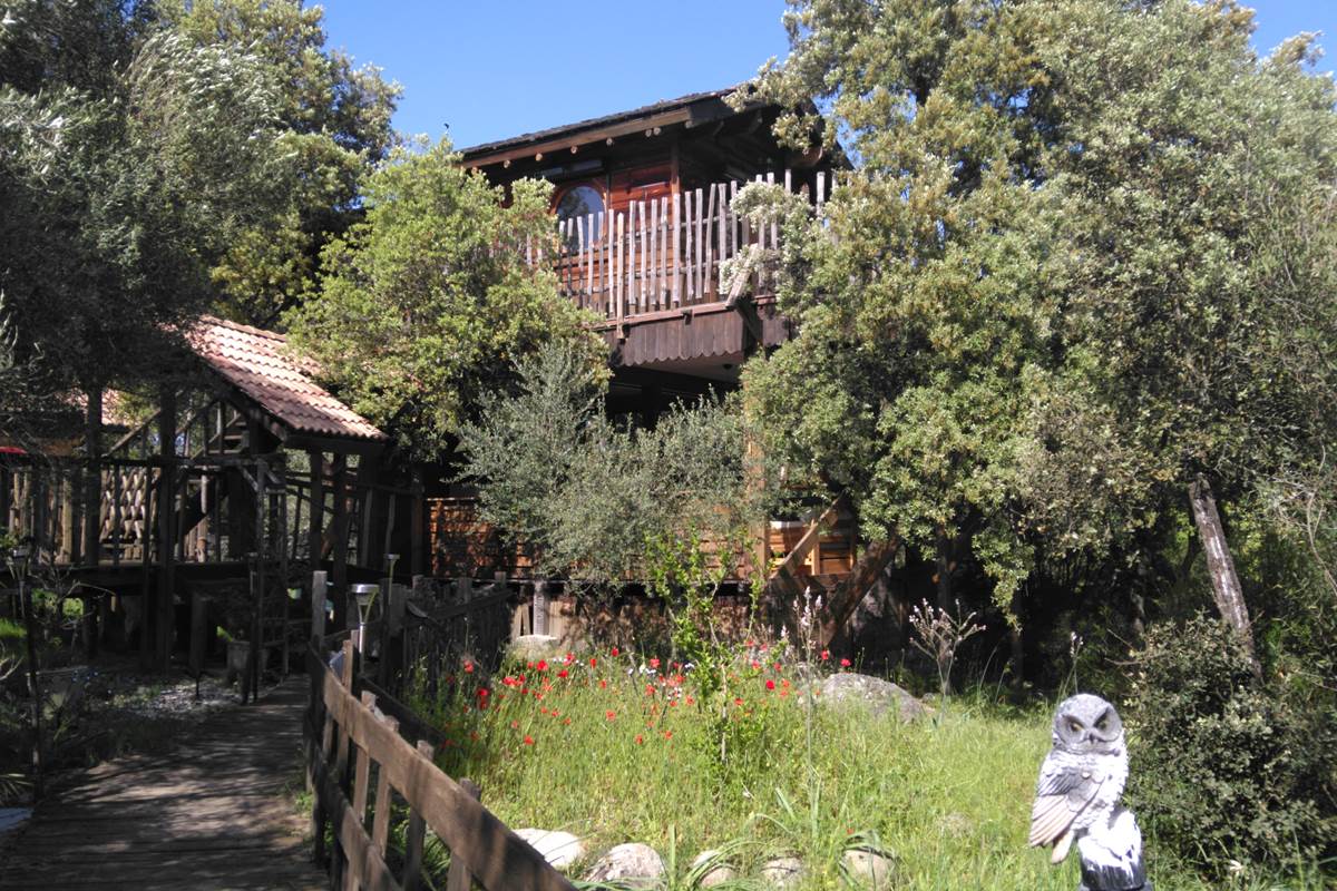 Notre cabane dans l'arbre