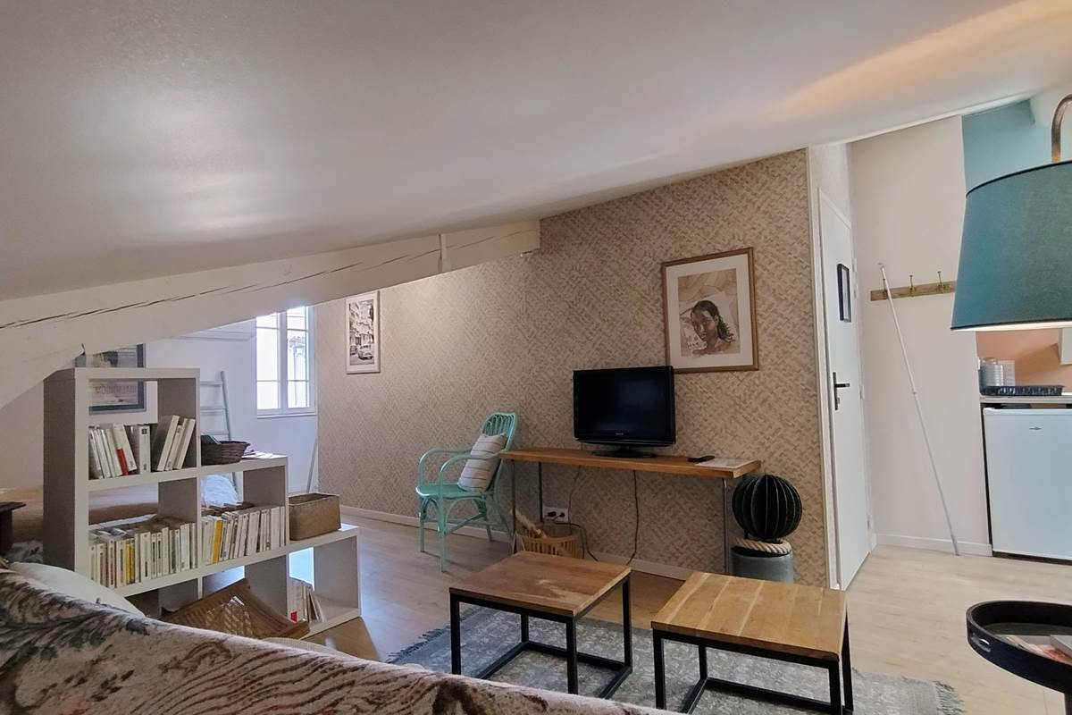 16-bis-gite-hotel-marssac-sur-tarn-salon-TV