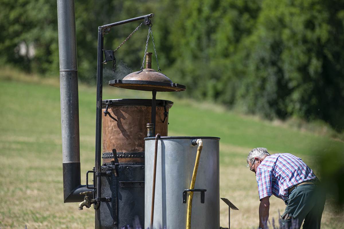 Distillation à l'ancienne