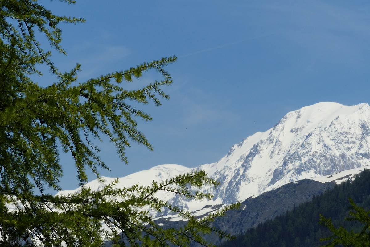 P1070387