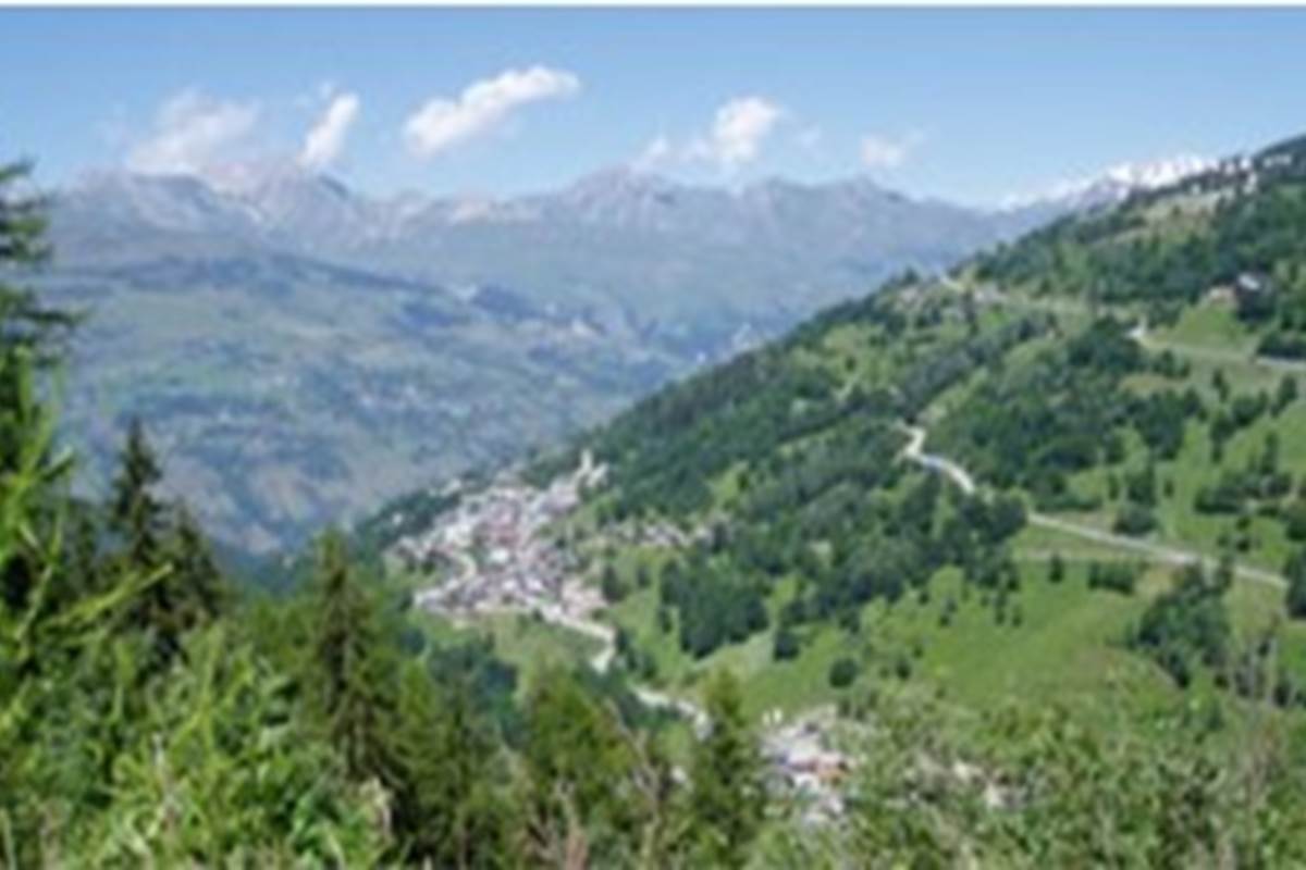 Image6