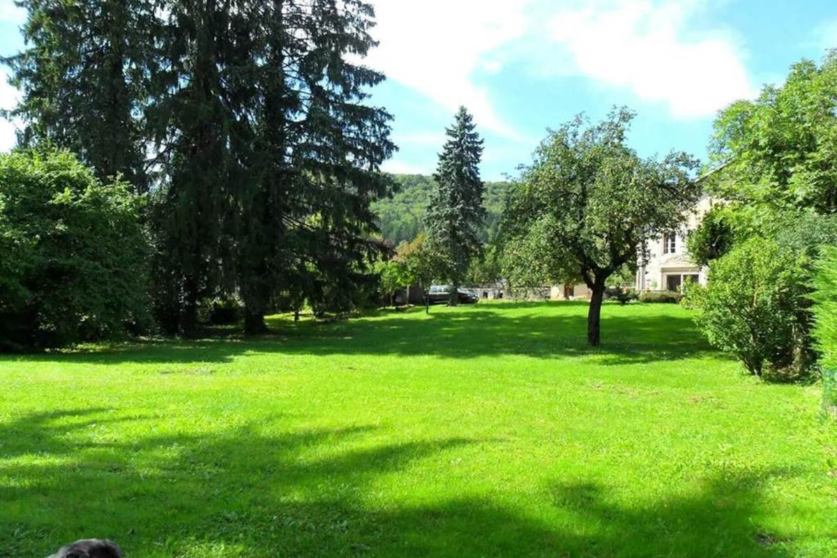 A la Grenouille du Jura jardin