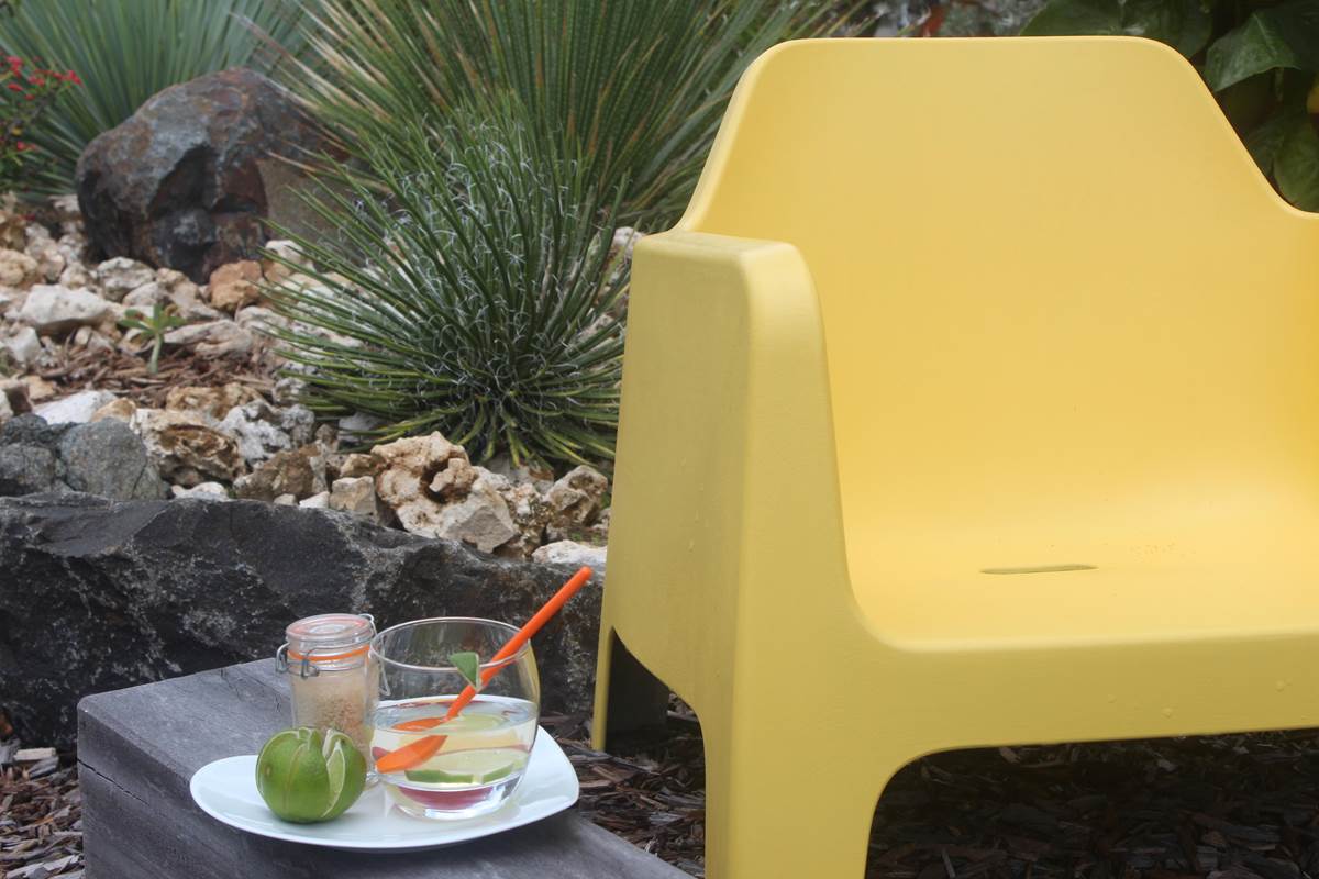 Iguane House villas & Micro Spa Villa Mangrove apéro time dans le jardin paysagé