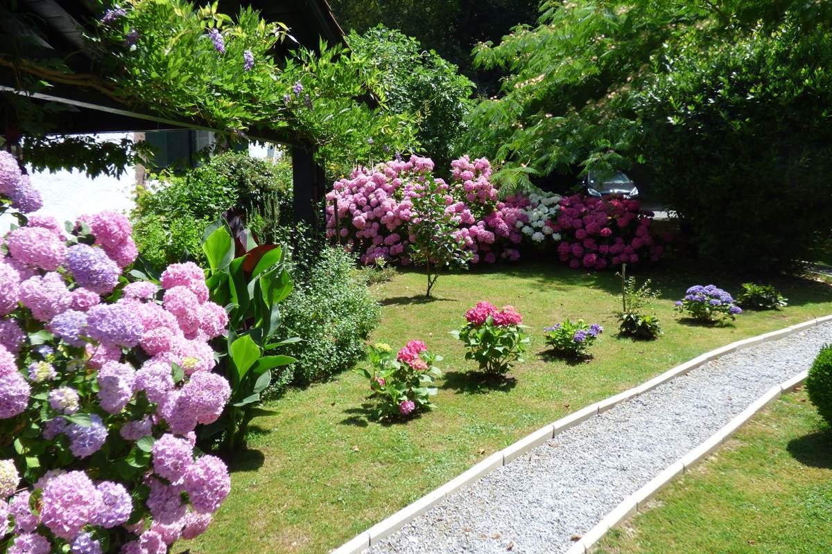 les hortensias de ttakoinenborda