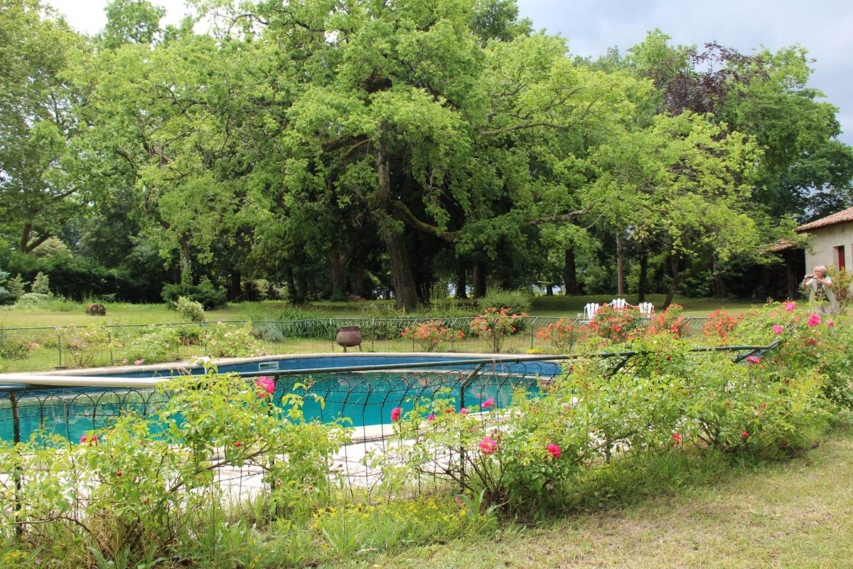 2 5 Piscine et extérieur reduite