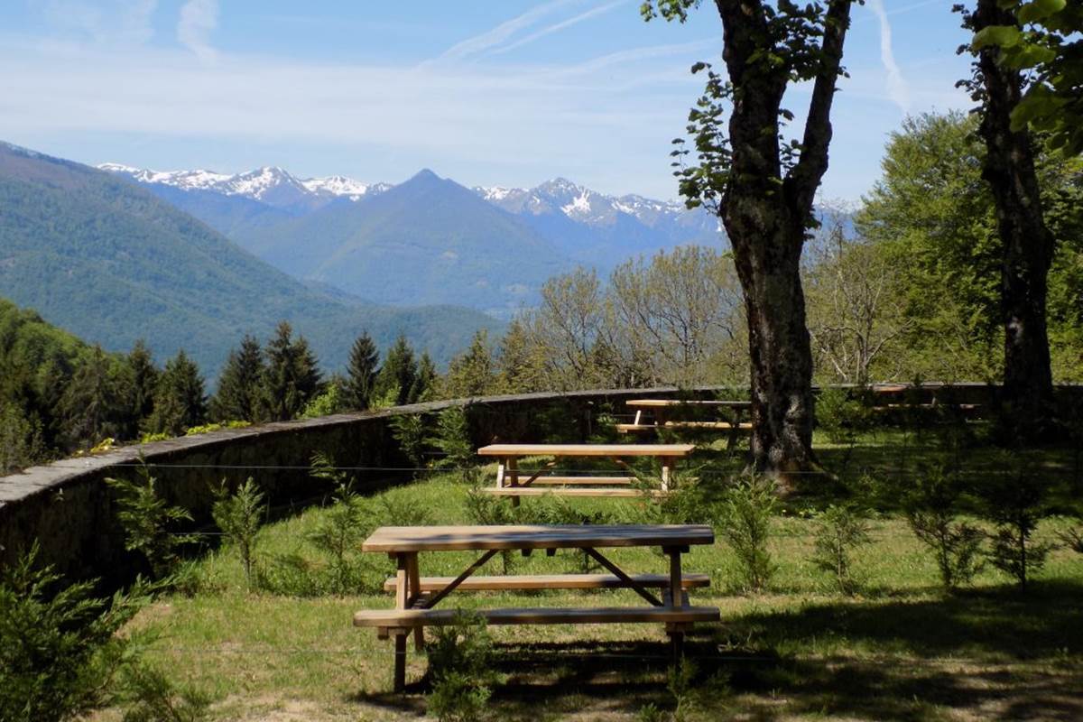 Tables des pick-nique fournie