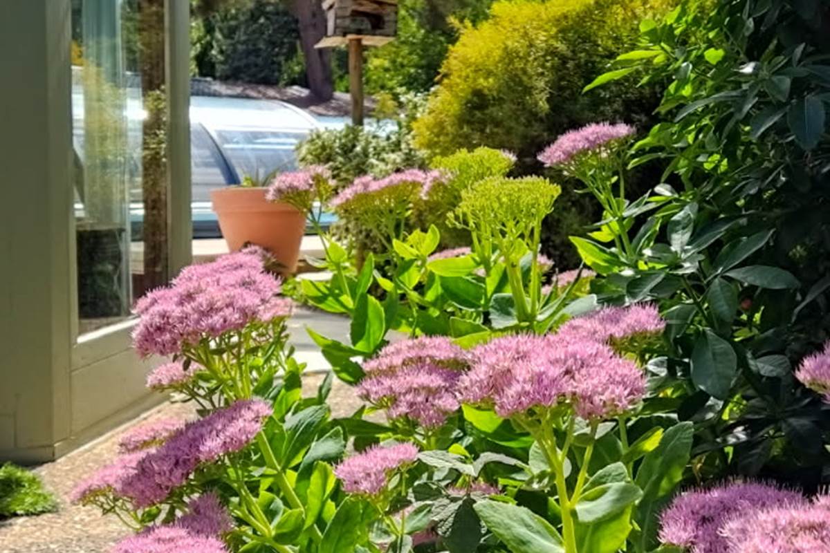 IMG_20250901_170601 (6)