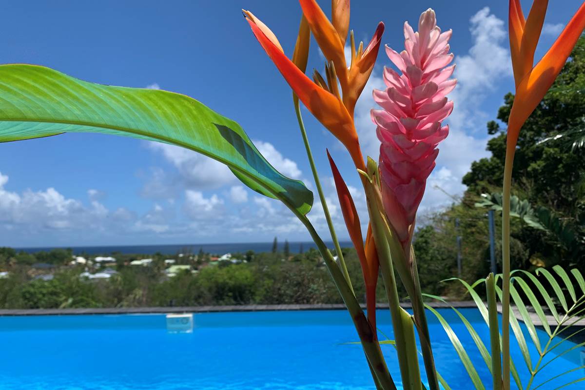 Fleurs tropicales