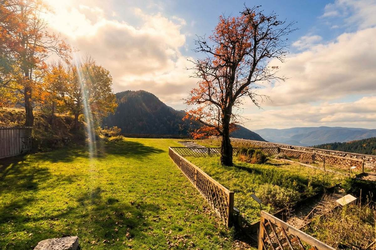 ameliore_cette_photos_rends_l__Nano_Banana_Pro_63280