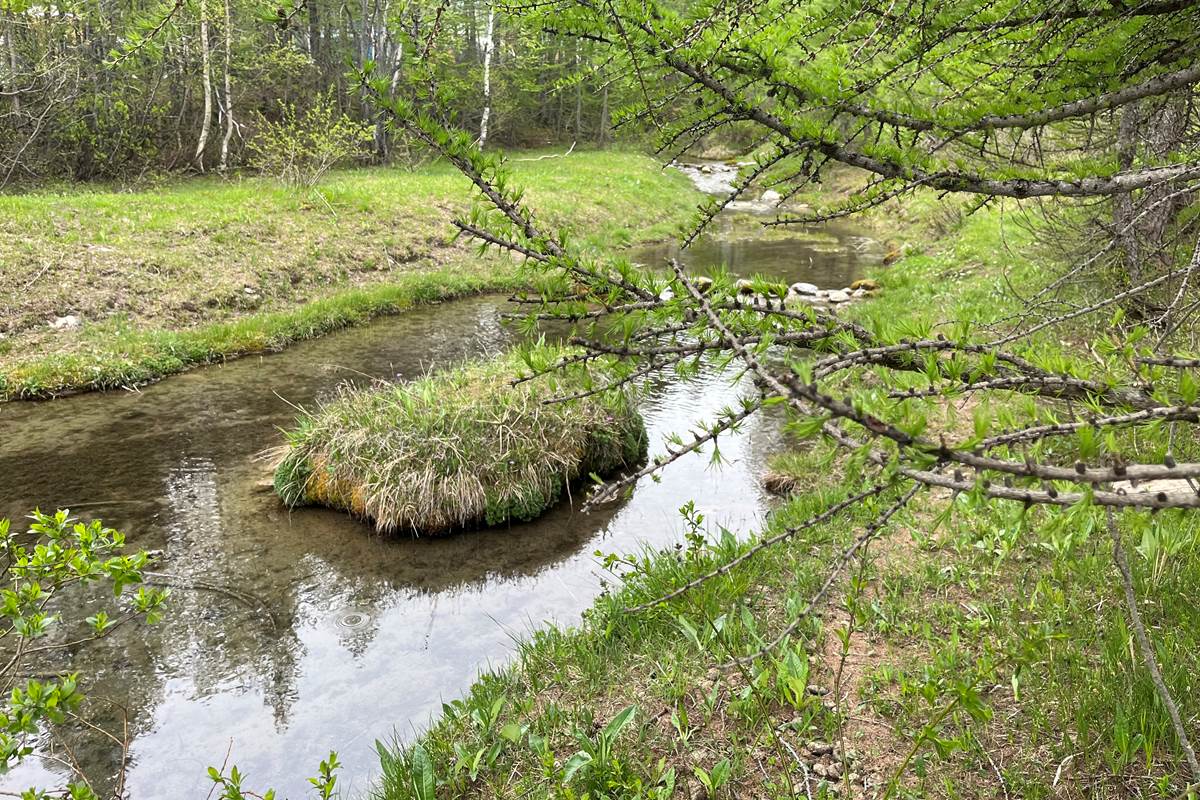 Chemin des sources