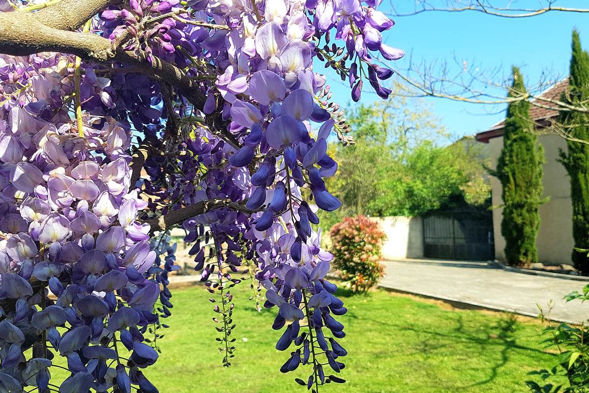 Le jardin de la résidence les Bastide Eugénie