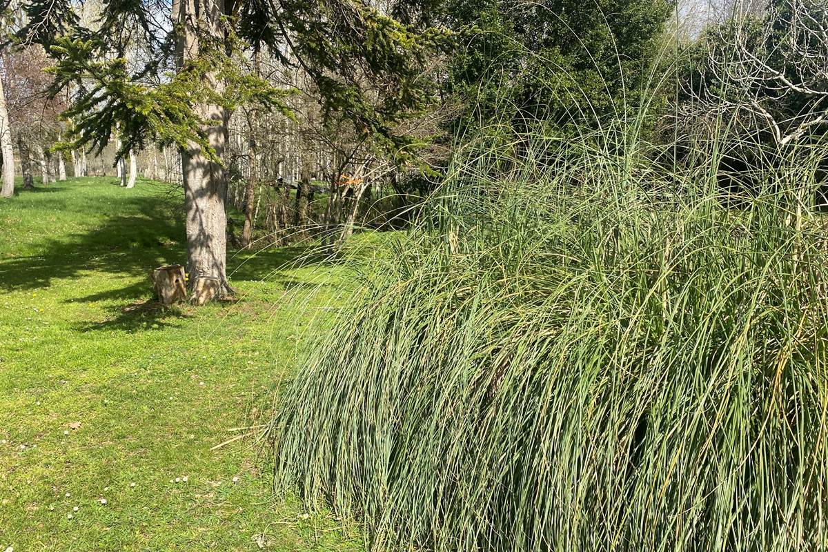 Parc verdoyant et climat agréable du Sud-Ouest pour se détendre en famille