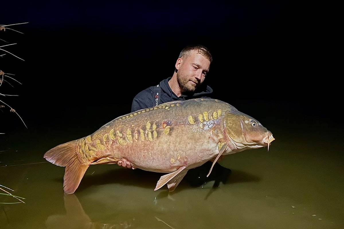 jolies carpes puyregonde