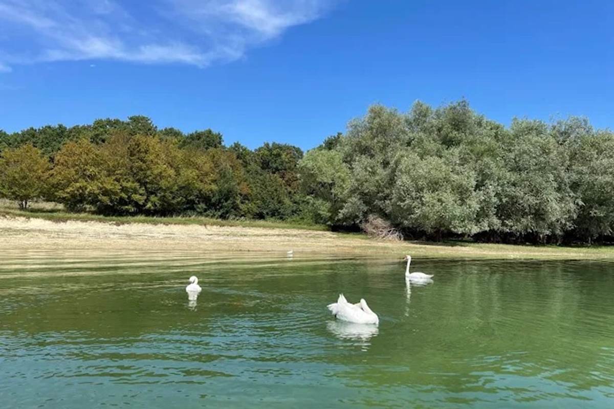 ile paisin au milieu du plan d'eau ,rencontre avec les signes