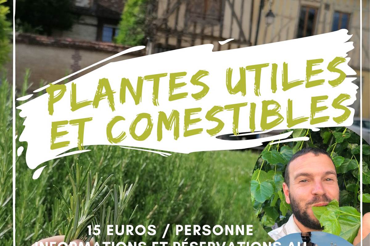 Copie de plantes comestibles