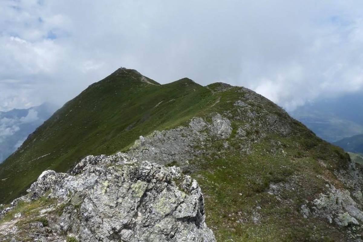 Ados aiguille Grive