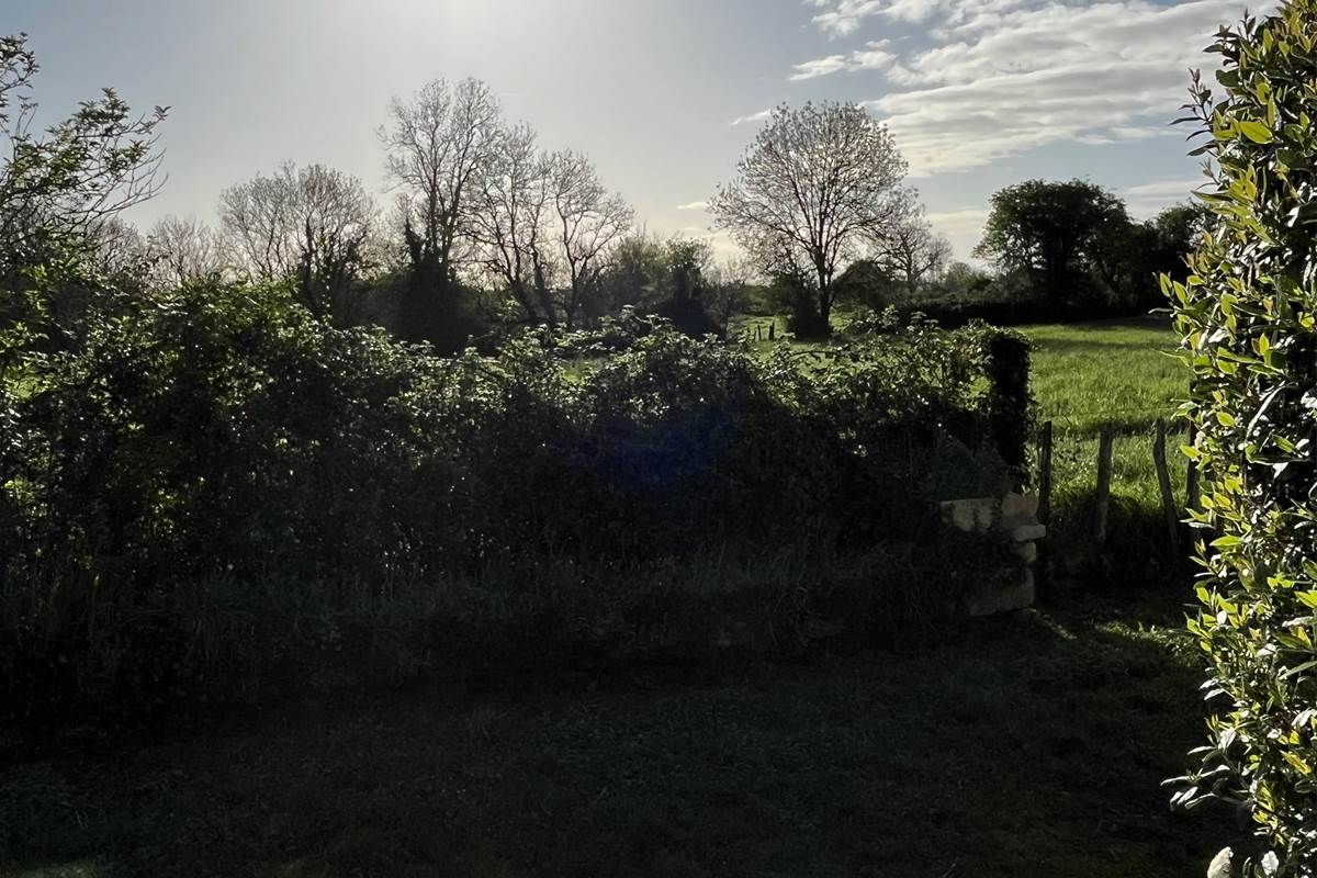 Prairie attenante aux gîtes