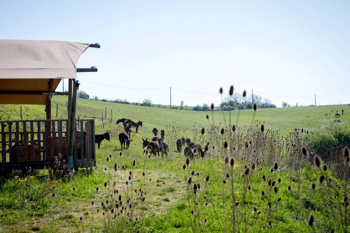 extérieur écolodge sunshine