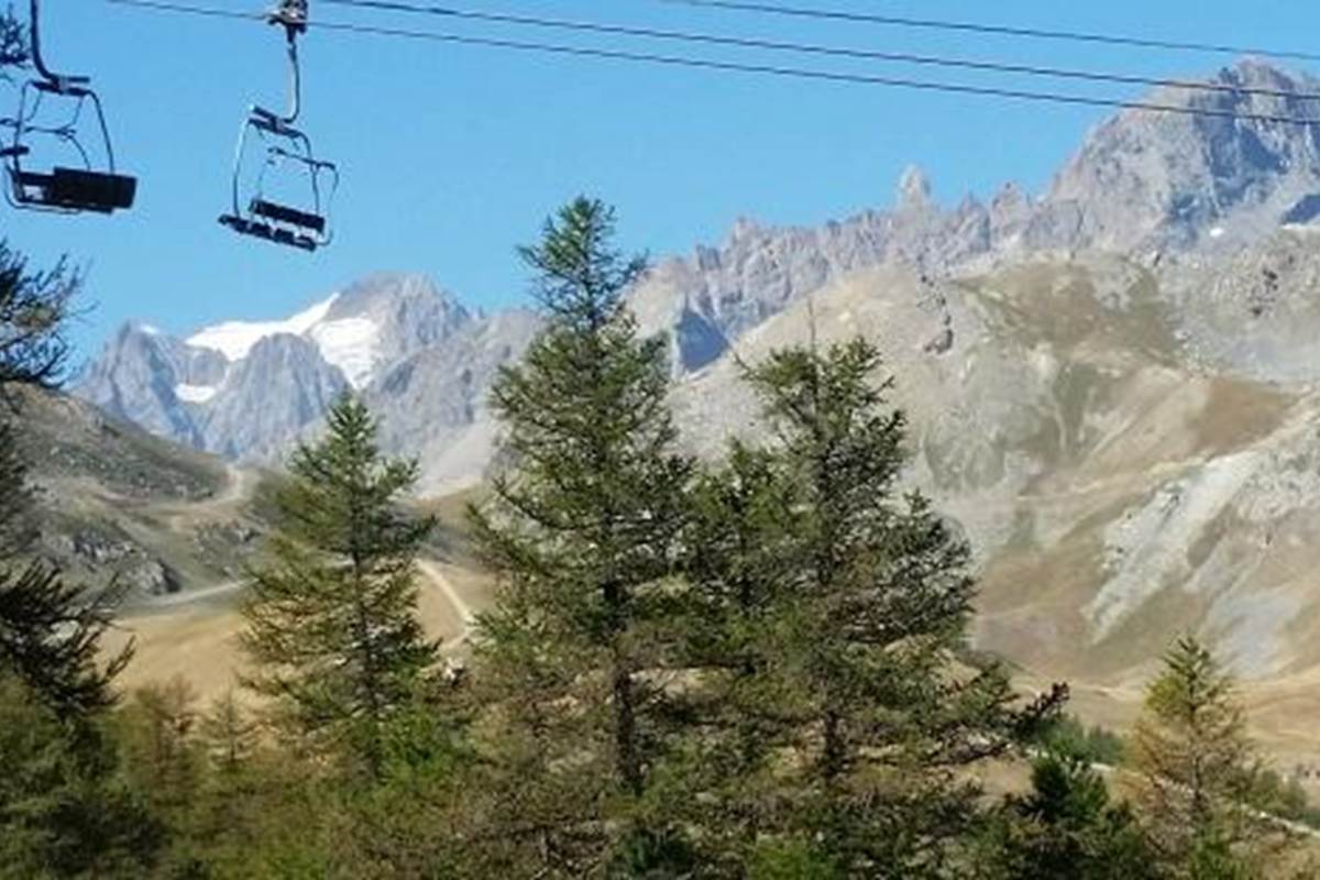 fugue en foret d'altitude