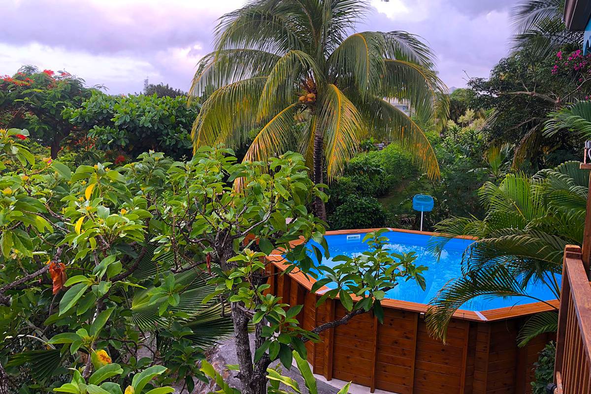 Piscine vue depuis la terrasse du séjour